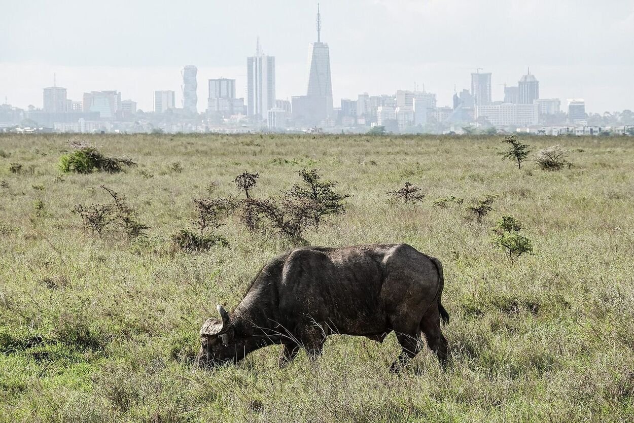 Kenya — the destination end of the India to Kenya corridor